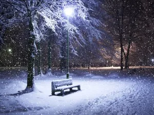 Winter park at night