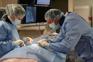 cardiology