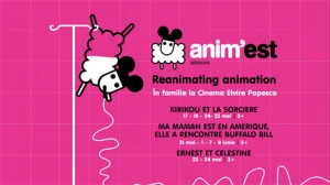 animest sessions