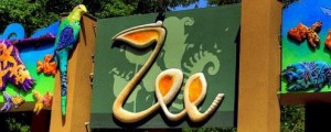 Gradina-Zoo-Bucuresti