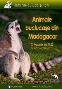 Madagascar2