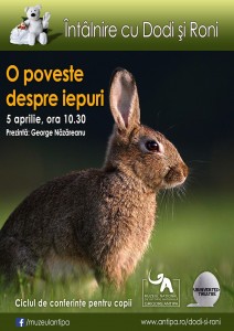 Conferinta Dodi si Roni