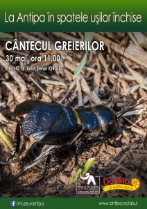 Afis Cantecul greierilor