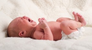 bebe