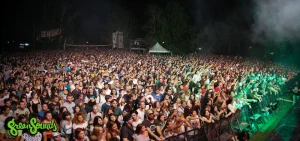 festival 1