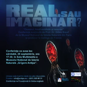 Oceanul, biodiversitate si resurse-2