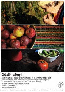 afis_Gradini satesti - Copy