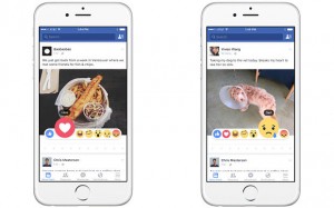 reactii facebook