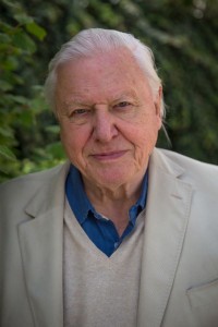 Picture Shows: Sir David Attenborough - PHOTO ONLY TO BE USED IN CONNECTION WITH THE PROGRAMME 'The Hunt'