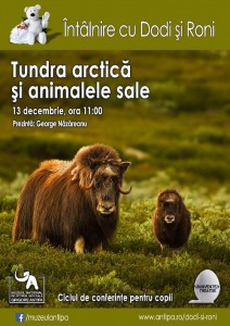 Intalnire cu Dodi si Roni: Tundra arctica si animalele sale