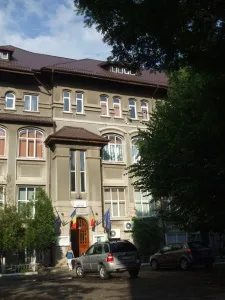 tudor vianu
