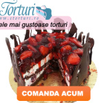 banner_etorturi