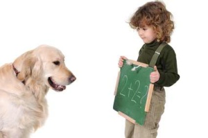 Ministerul Educatiei anunta ca a numarat gresit: de fapt 56% dintre elevi au sub 5 la simularea Evaluarii Nationale