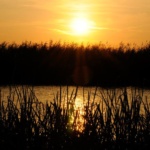 12963375_616338225182358_6271141132922066527_n