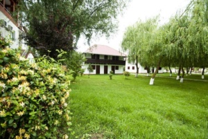 13000114_616338228515691_6303464373141107510_n