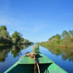 13006509_616338231849024_4120231143436699713_n