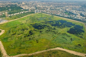 Romania exotica: Parcul Natural Vacaresti a fost declarat arie naturala protejata