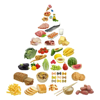 Piramida alimentelor