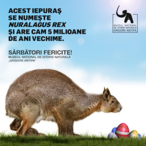 Program special de sarbatori al Muzeului "Grigori Antipa"