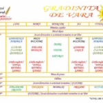 program_de_vara
