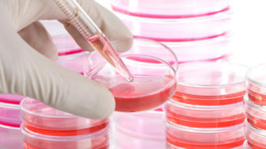 Romania va avea acces si in acest an la registrul international al donatorilor de celule stem hematopoietice