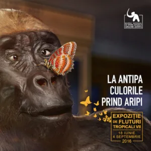Culorile prin viata la "Antipa"