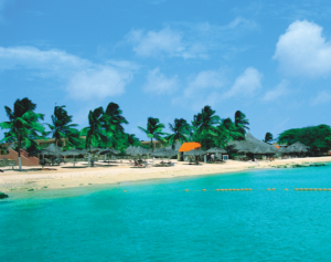  4 sfaturi pentru a ne proteja de virusuri si boli exotice