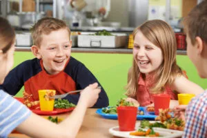Program-pilot privind alimentația elevilor, adoptat de Guvern