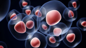 Sectia de transplant de celule stem modernizata