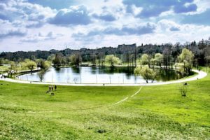 Doua pasari gasite moarte in Parcul Tineretului, confirmate cu gripa aviara