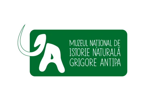 logo-antipa-green