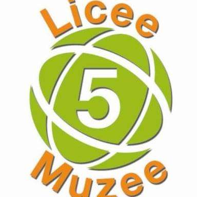 5 licee 5 muzee