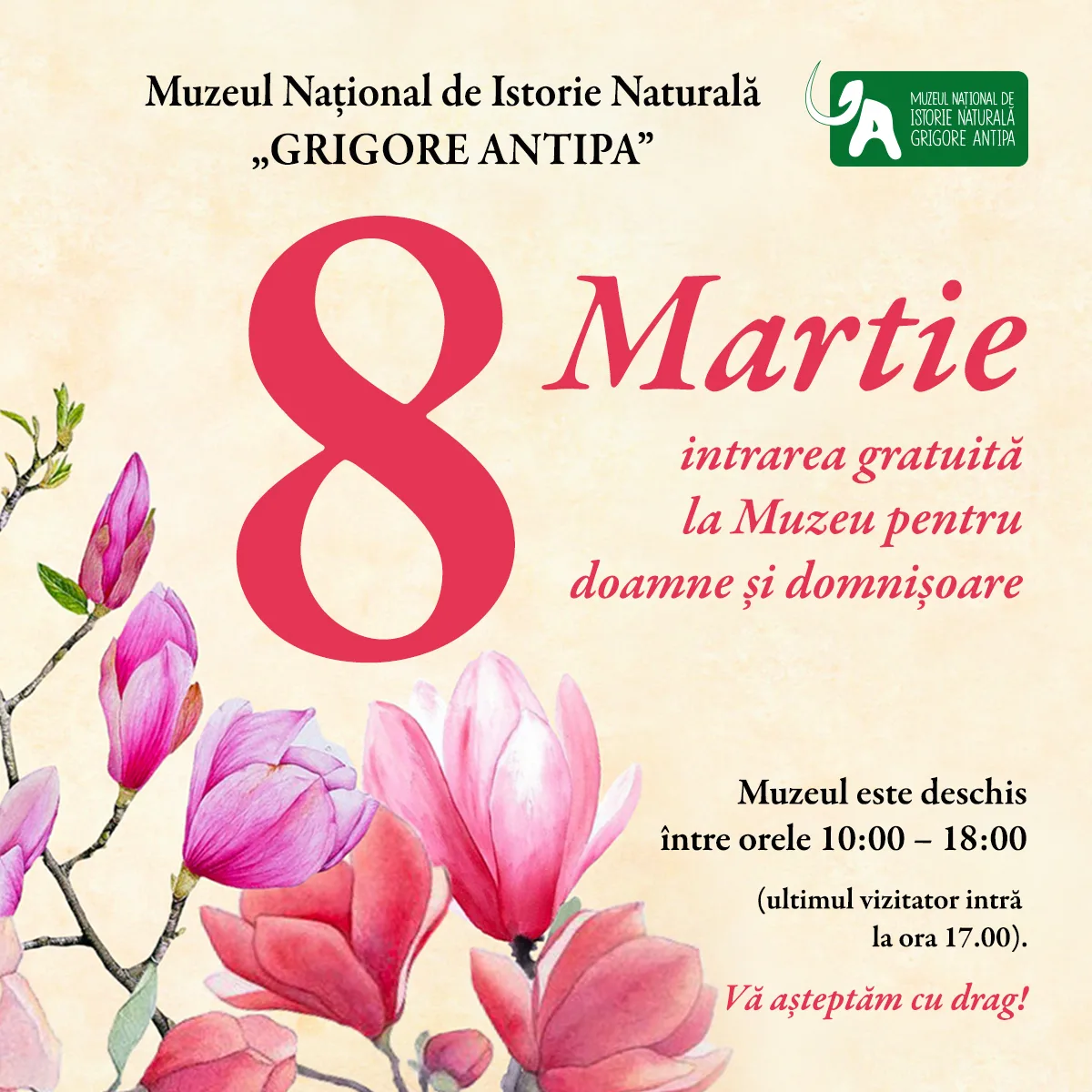 8 Martie la Antipa