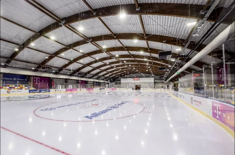 patinoar