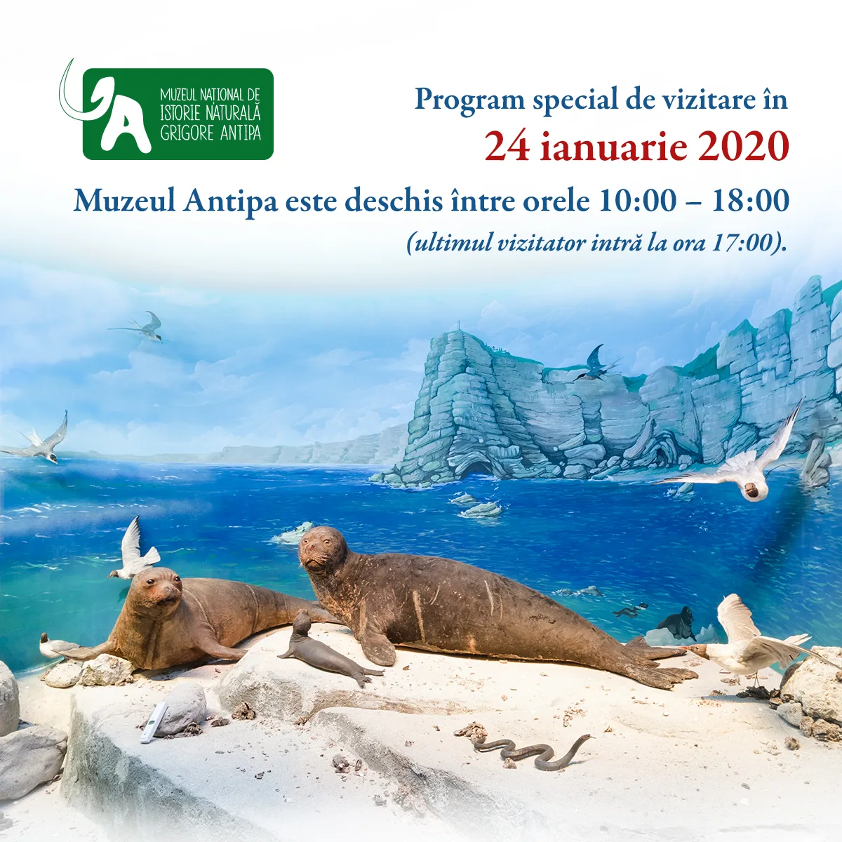 Program 24 ianuarie 2020