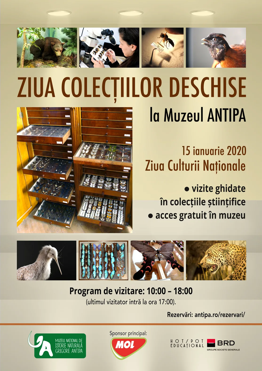 Ziua Colectiilor Deschise la Antipa