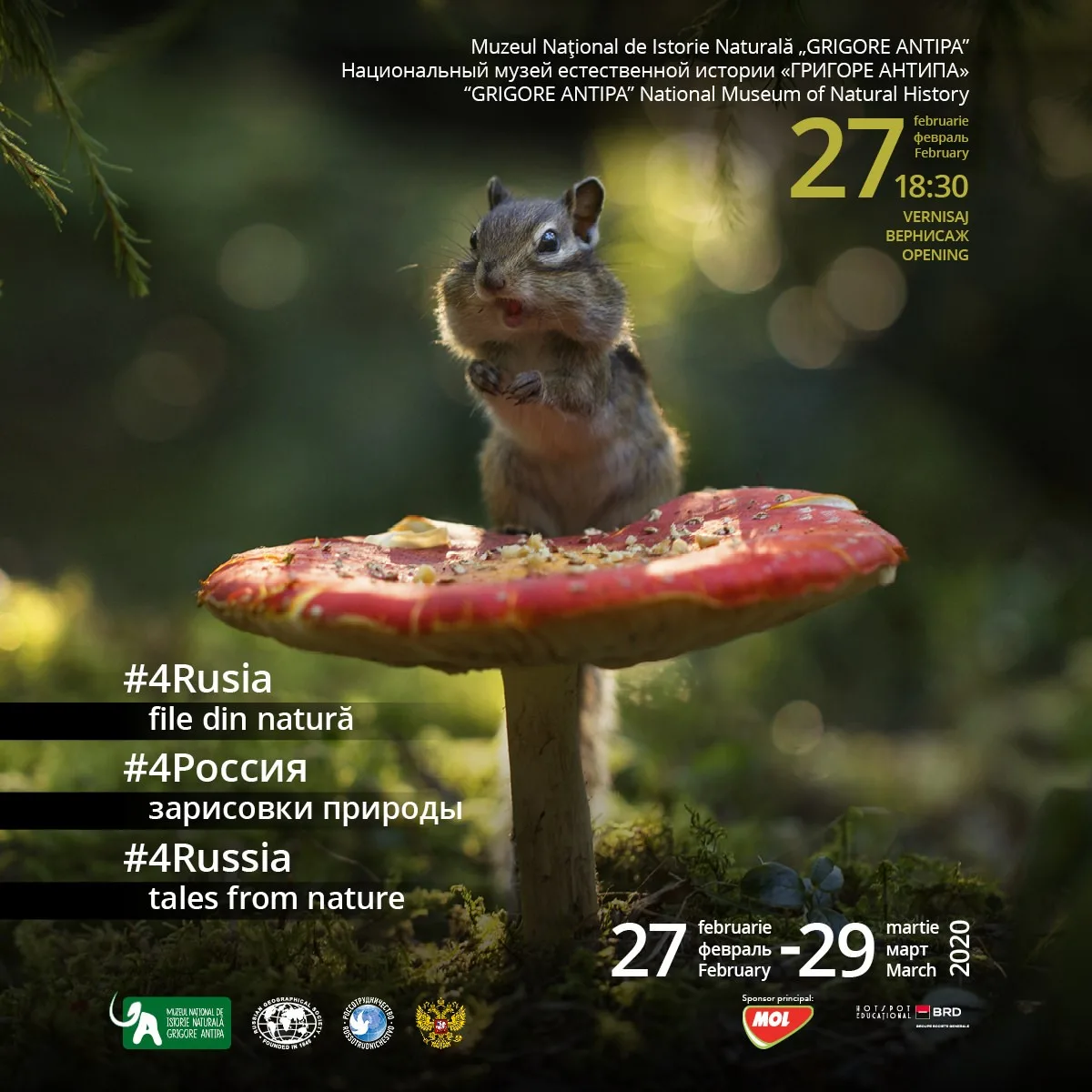 Rusia file din natura 4