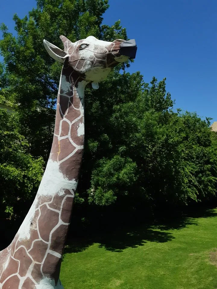 GirafadelaAntipa
