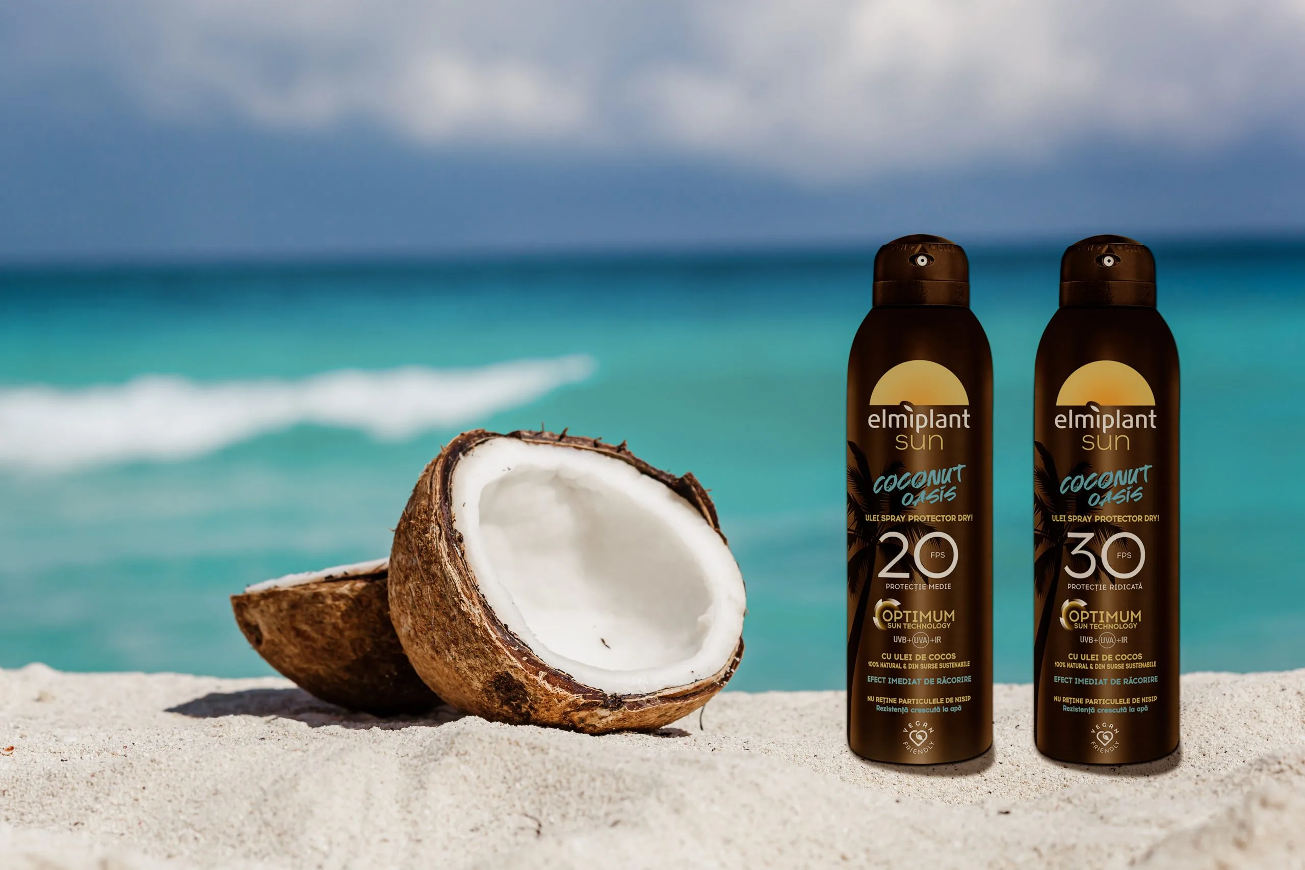 Coconut Oasis