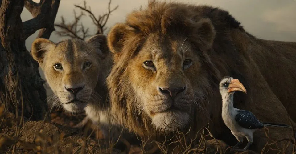 lion king