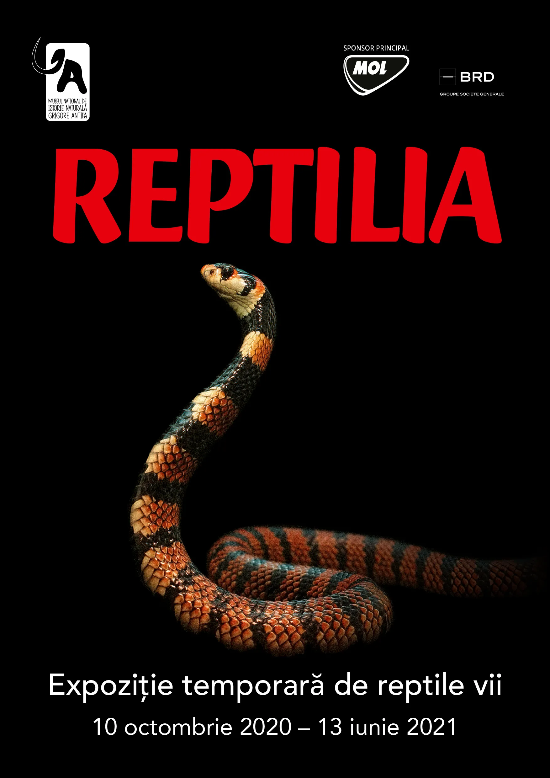 Reptilia
