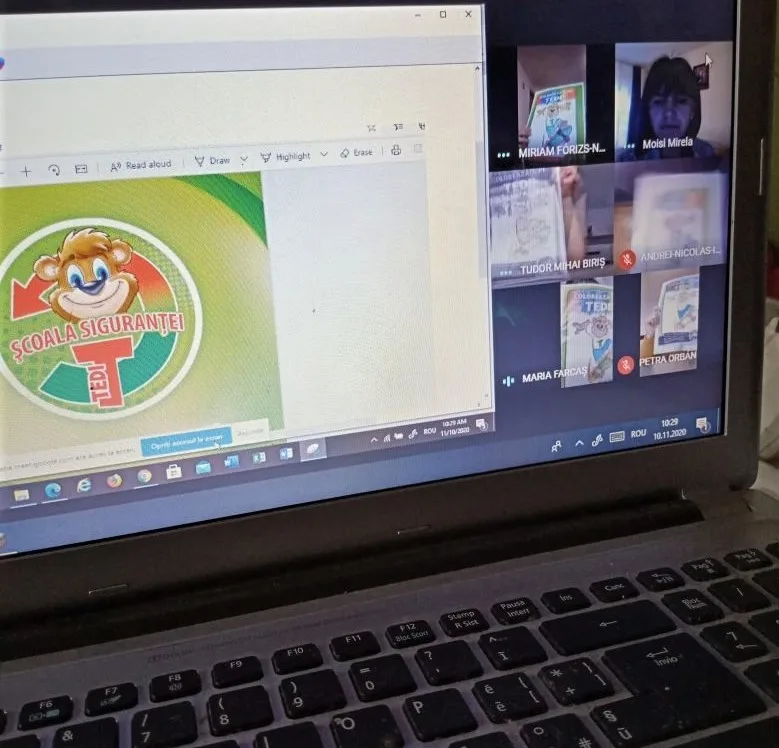 Scoala sigurantei Tedi - lectii online