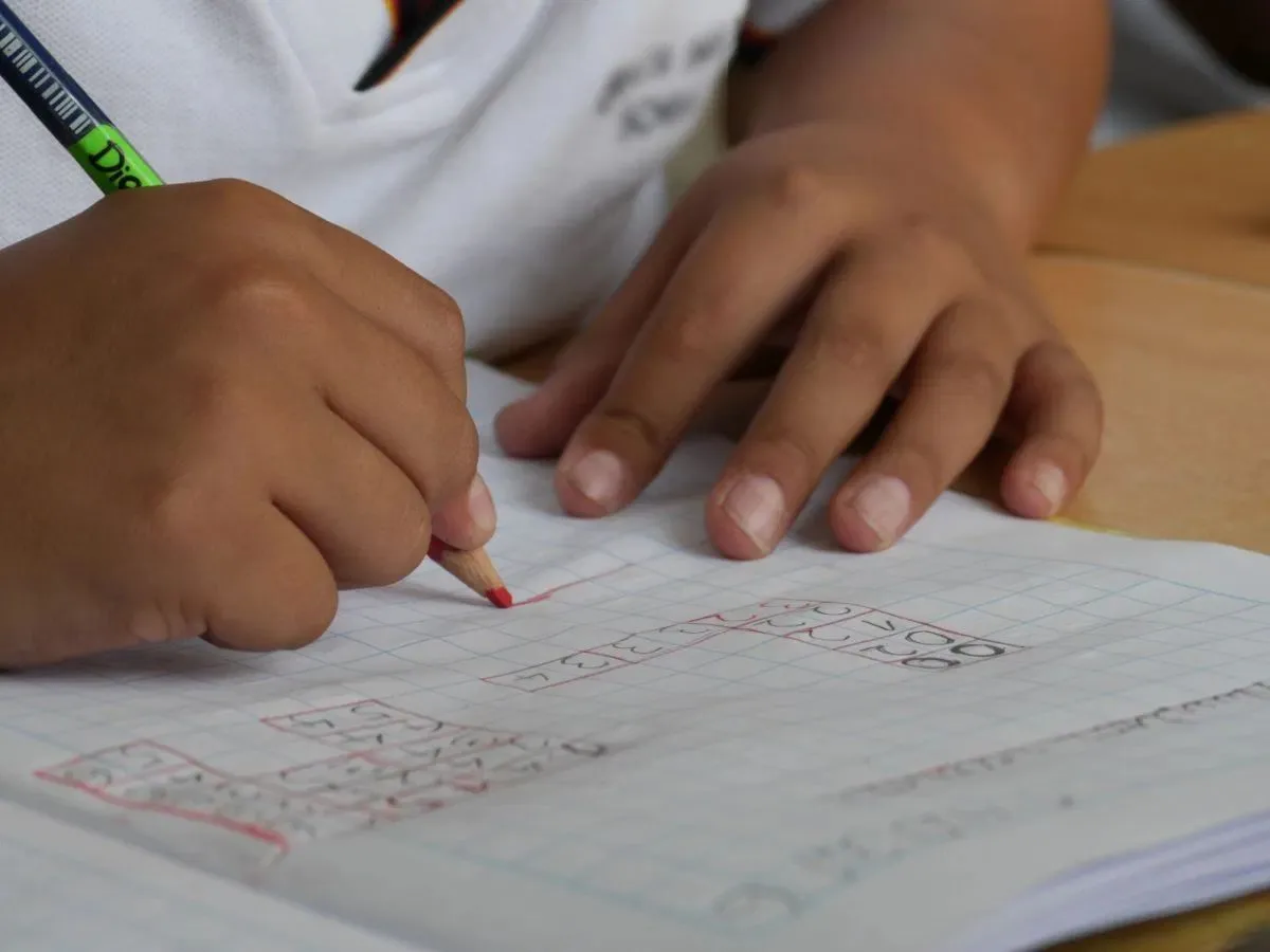 proba evaluare nationala