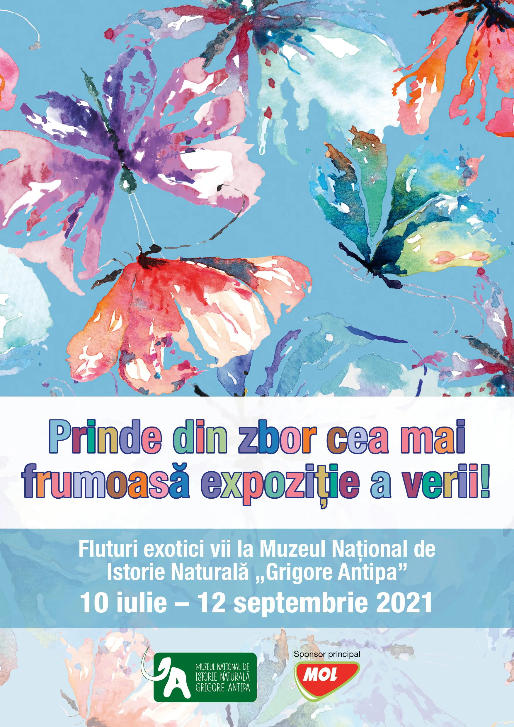 Expozitie de fluturi exotici la Antipa