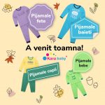 fb_a_venit_toamna_patrat