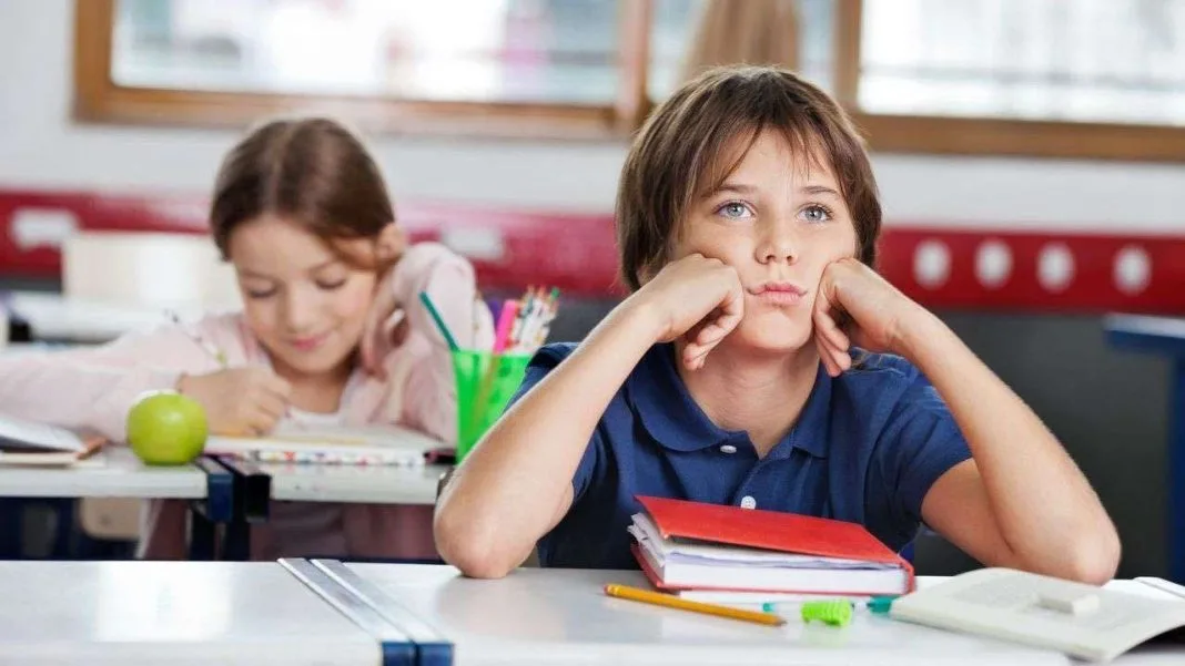 1.391 de unități de învățământ vor beneficia de finanțare în cadrul celui mai mare program de sprijinire a participării la educație din istoria recentă a României: Programul Național pentru Reducerea Abandonului Școlar