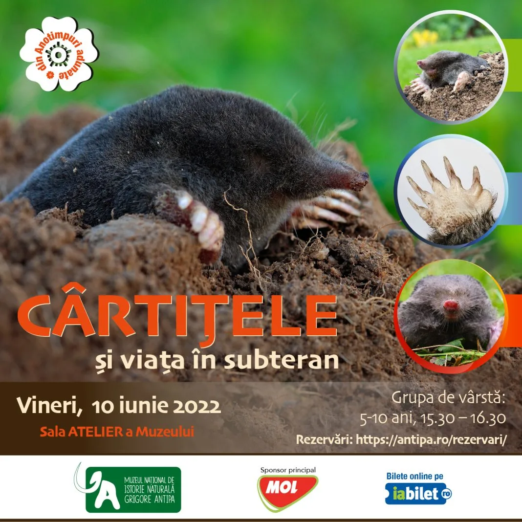 Cartitele si viata in subteran