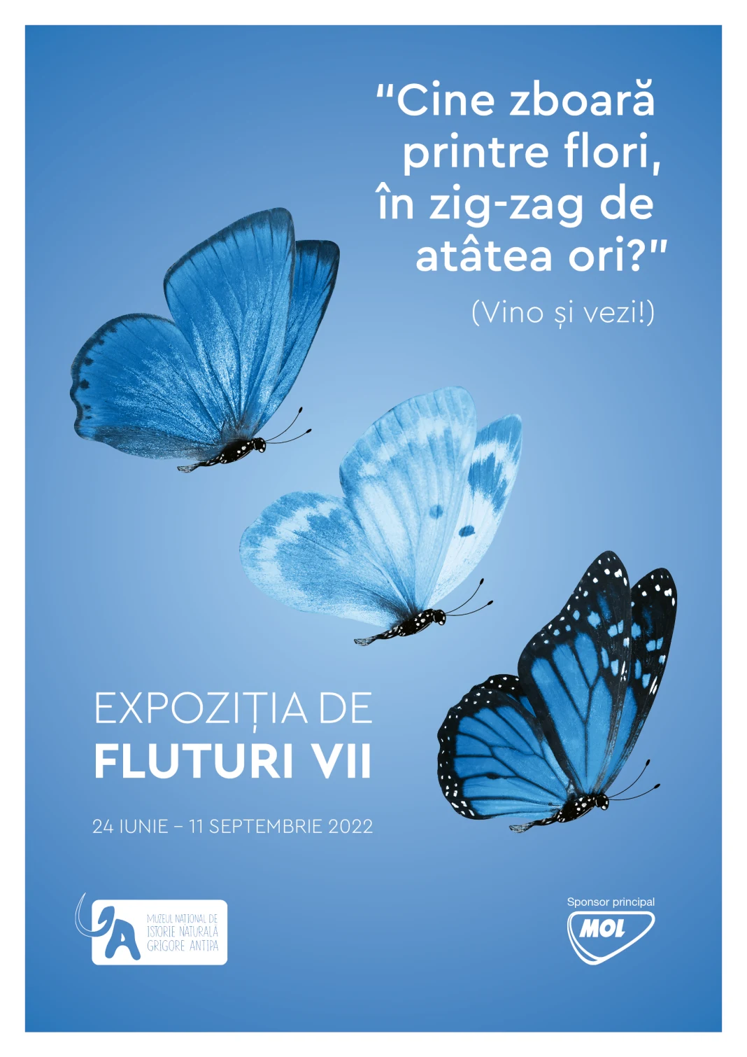 Cine zboara printre flori, in zig-zag de-atatea ori