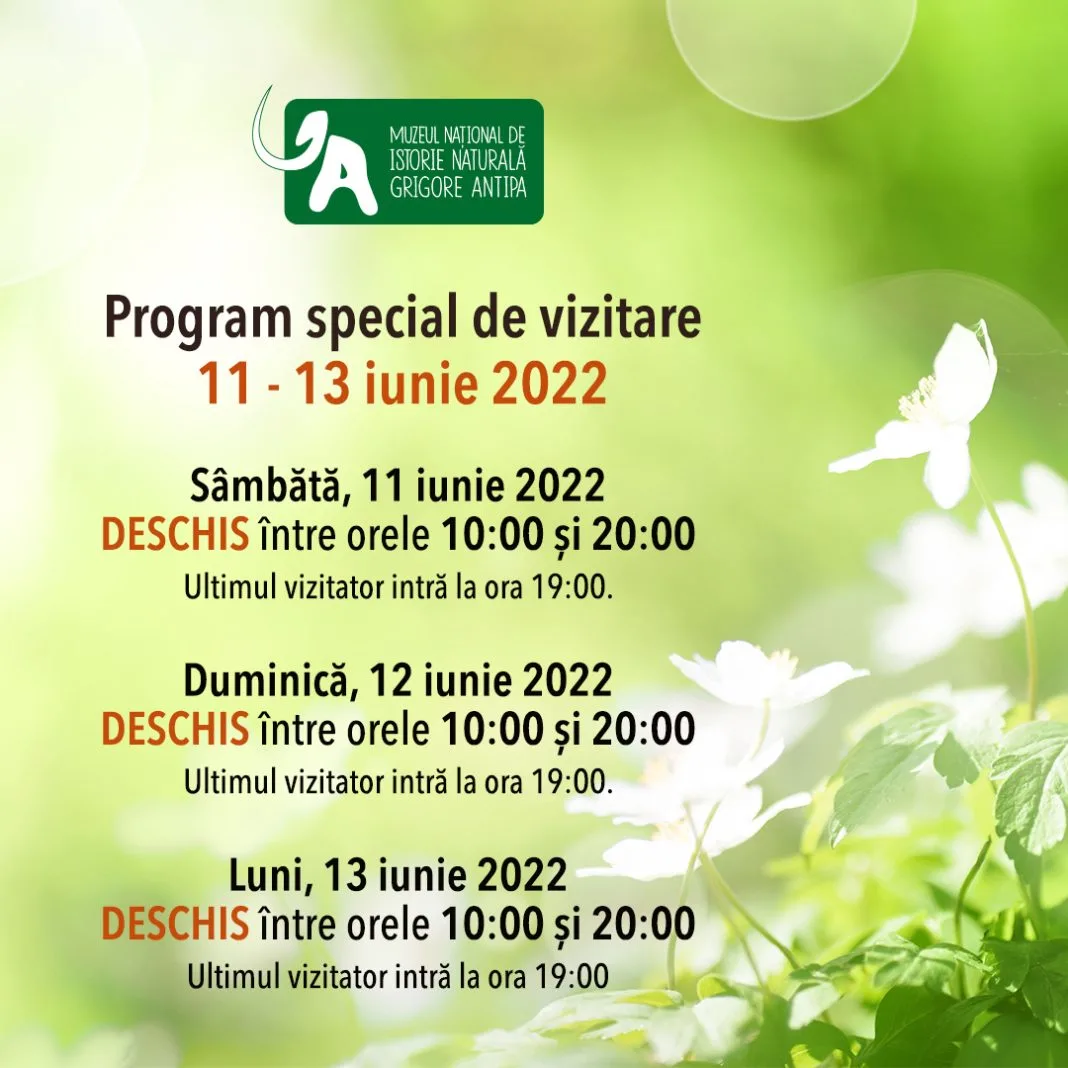 Program de vizitare 11-13 iun 2022
