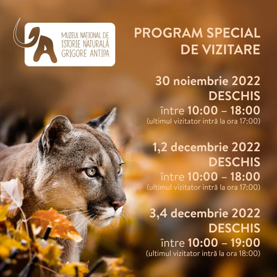 Program vizitare Antipa 30nov-4dec